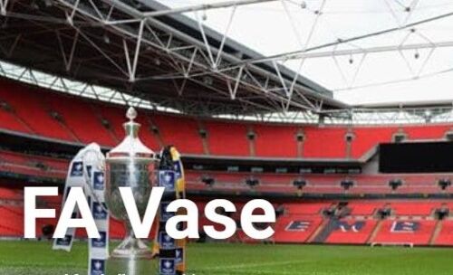 THIS WEEK - FA VASE !!!